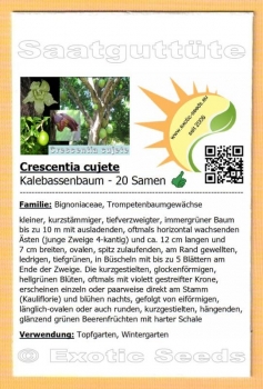 Crescentia cujete, Kalebassenbaum, 20 Samen